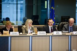 The MEPs and Keynote Speakers in the first session 